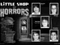2008 Little Shop of Horrors 2.jpg